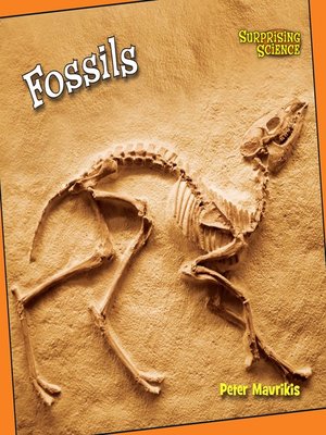 cover image of Fossils